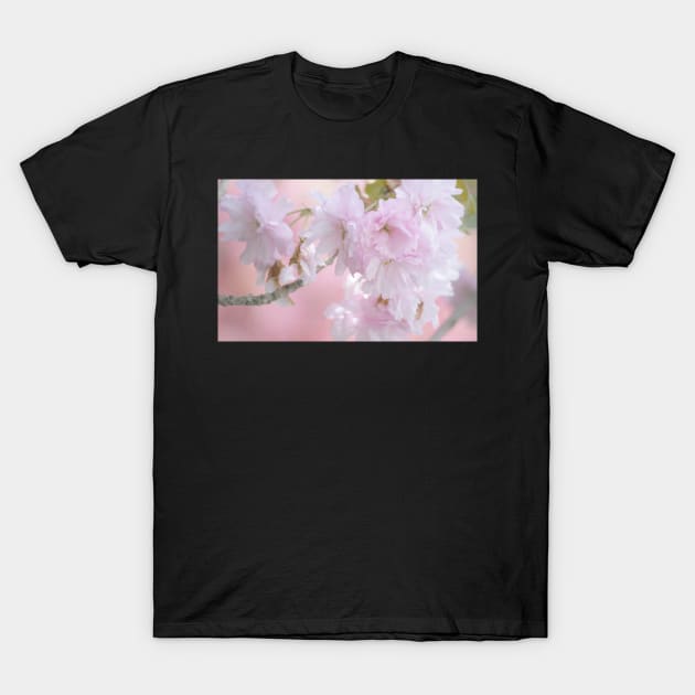 "In The Pink" T-Shirt by LaurieMinor